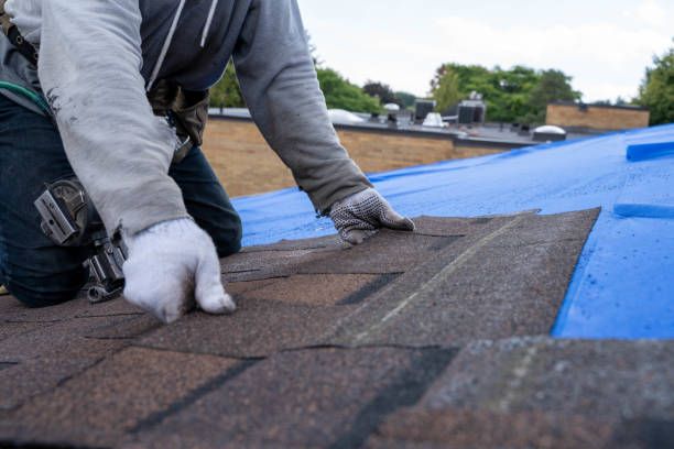 Best Shingle Roofing Installation  in Montevideo, MN