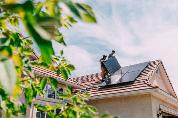 Best Roof Gutter Cleaning  in Montevideo, MN
