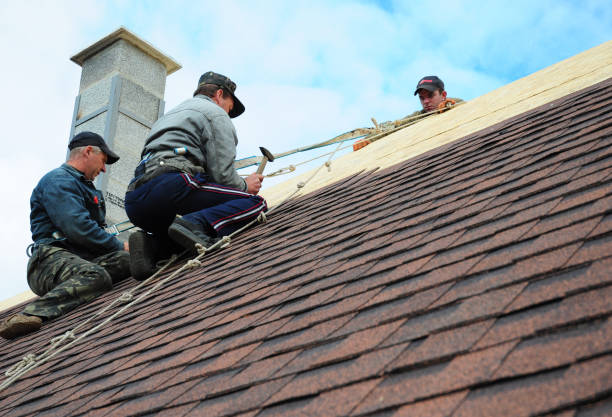 Best Flat Roof Repair Services  in Montevideo, MN