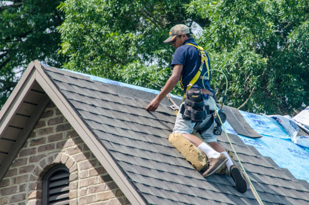Quick and Trustworthy Emergency Roof Repair Services in Montevideo, MN